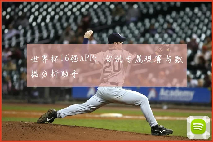 世界杯16强APP：你的专属观赛与数据分析助手